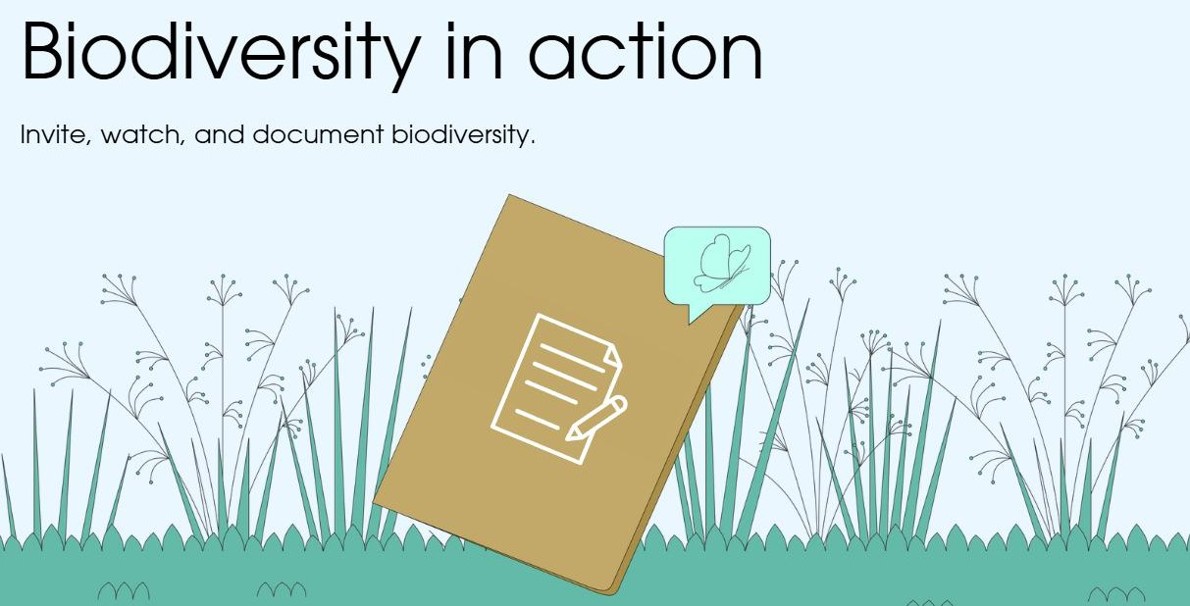 Excerpt from an initial design for Biodiversity Toolkit