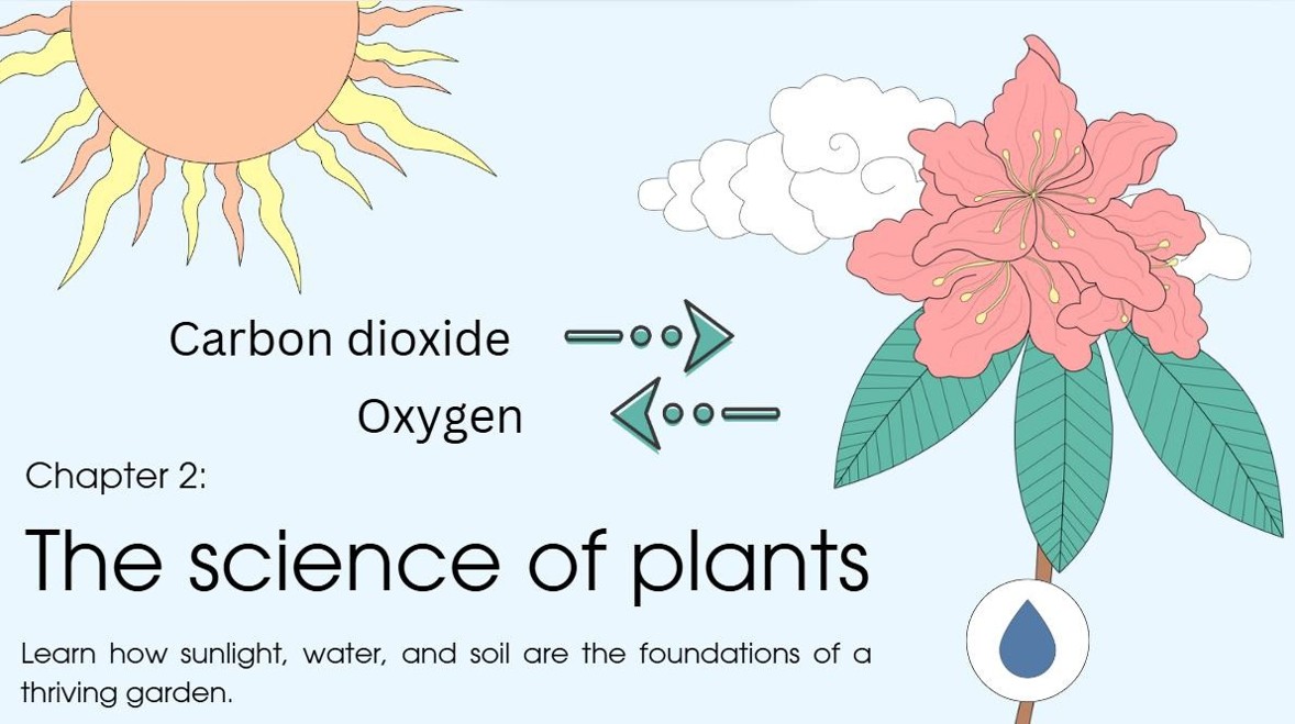 Excerpt from an initial design for Biodiversity Toolkit